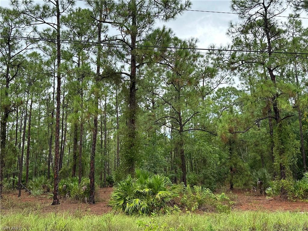 LEHIGH ACRES - Land