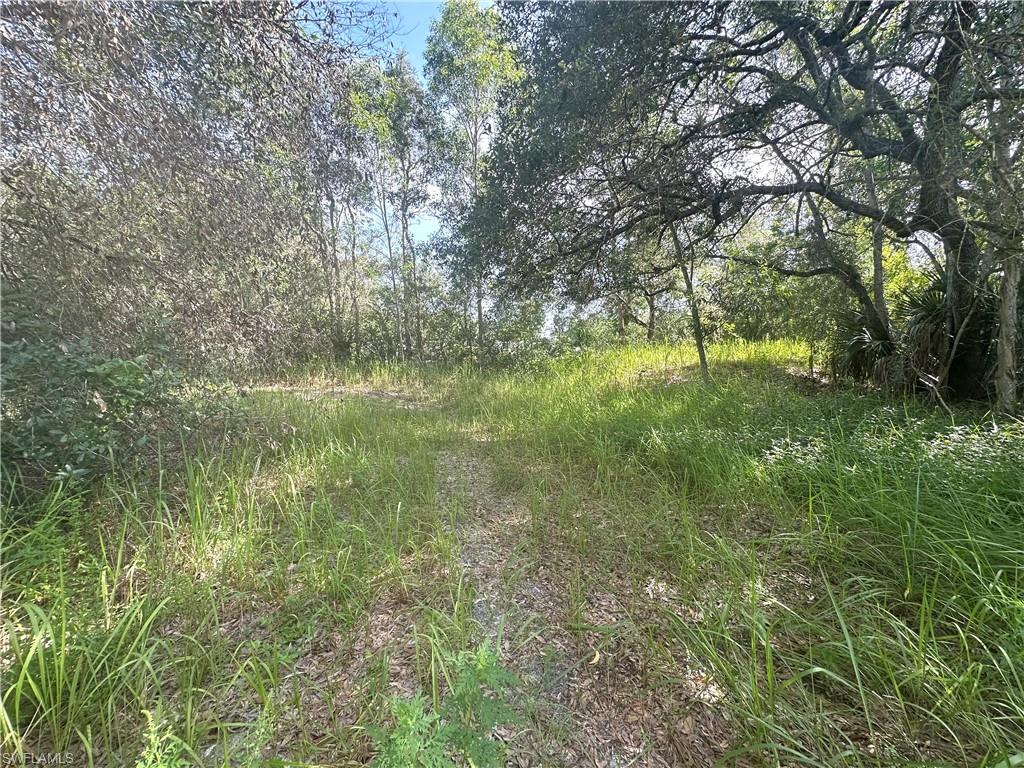 SUN COAST ACRES - Land