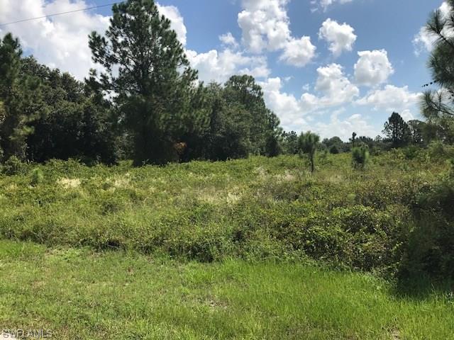 LEHIGH ACRES - Land