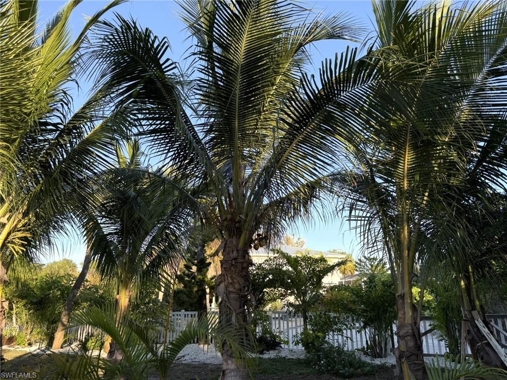 CAPTIVA PALMA UNRECORDED SUBDIVISION - Residential