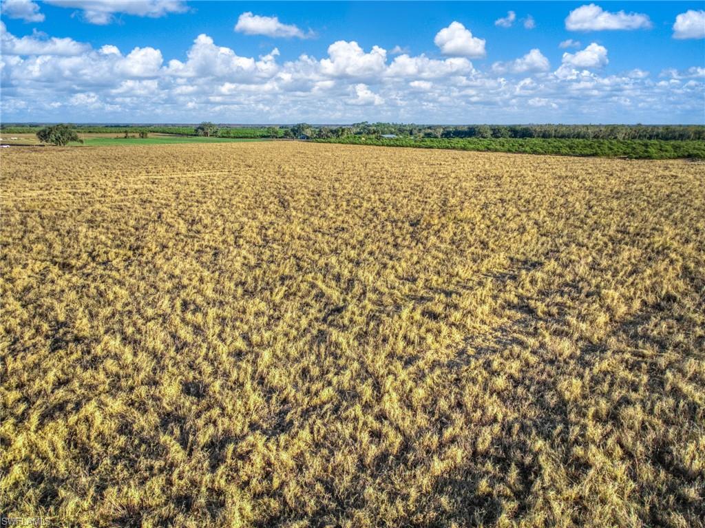 ACREAGE - Land