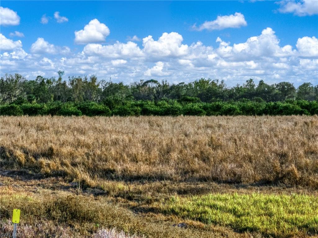 ACREAGE - Land