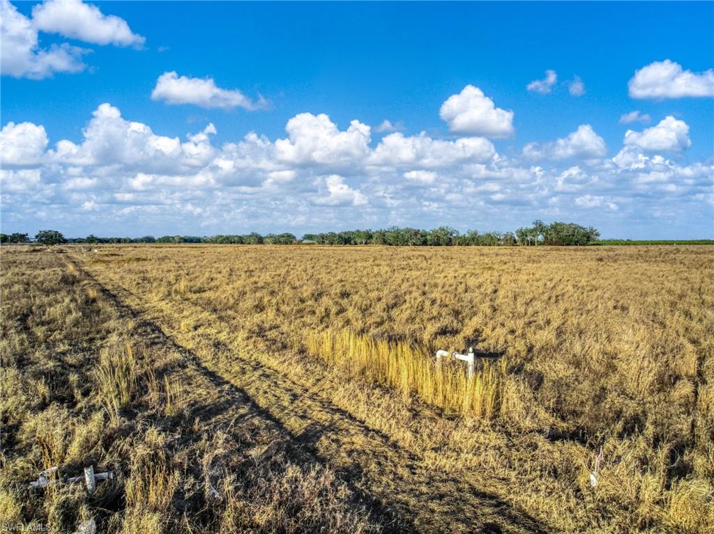 ACREAGE - Land