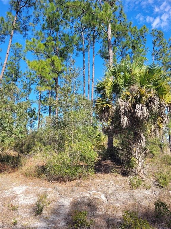 LEHIGH PROPERTIES - Land