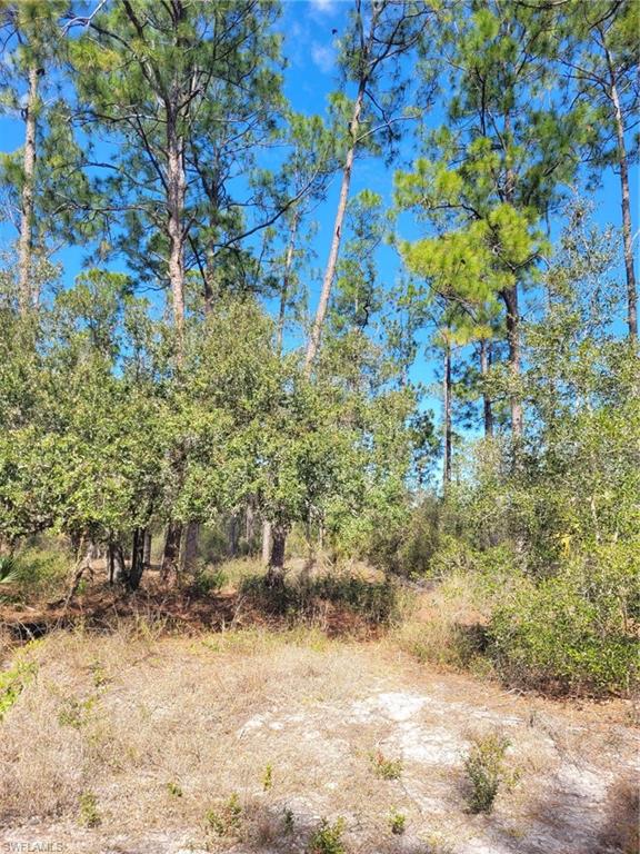 LEHIGH PROPERTIES - Land
