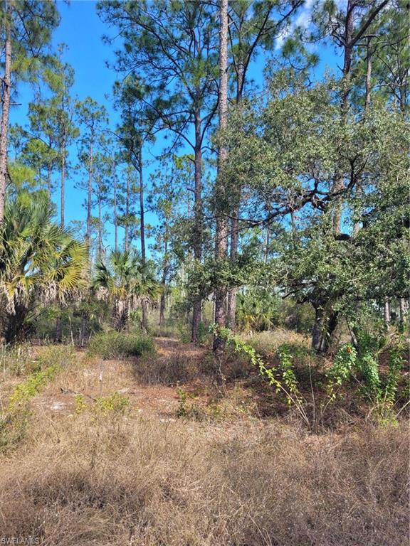 LEHIGH PROPERTIES - Land