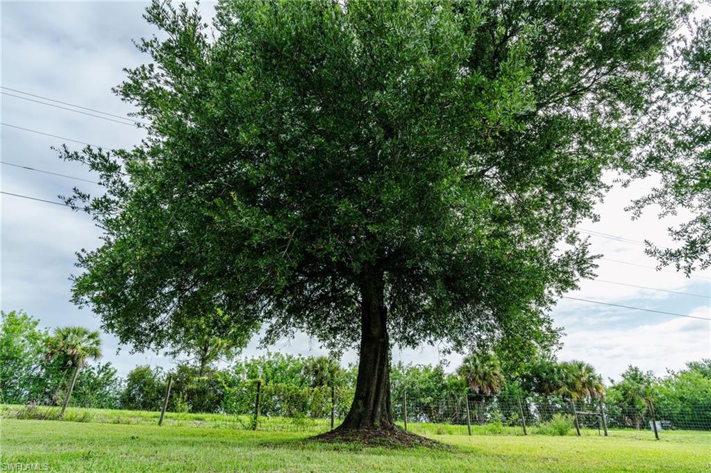 CLEWISTON - Residential