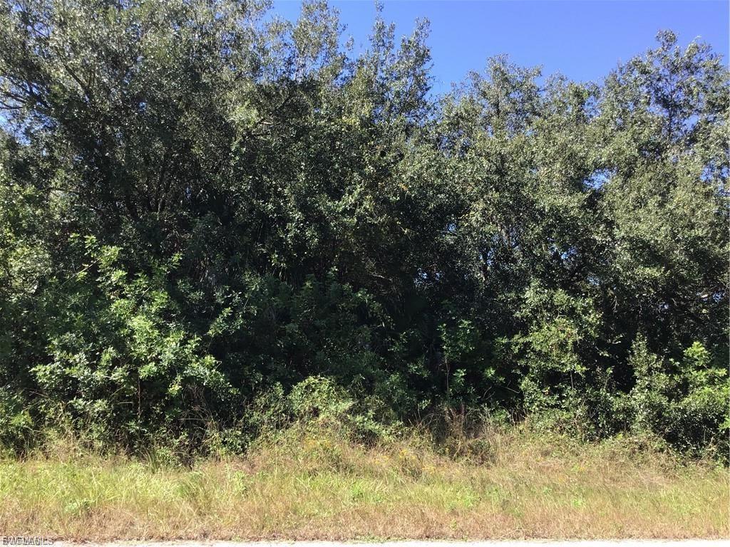 Motivated Seller!
Generous Oversized Lot. Build your dream home!  The Frank Mann Preserve is minutes away, an offering for nature lovers. This property offers privacy. It has convenient access to local amenities, schools, and major roads connecting you to everything Southwest Florida has to offer. No HOA'a. Flood Insurance not required!