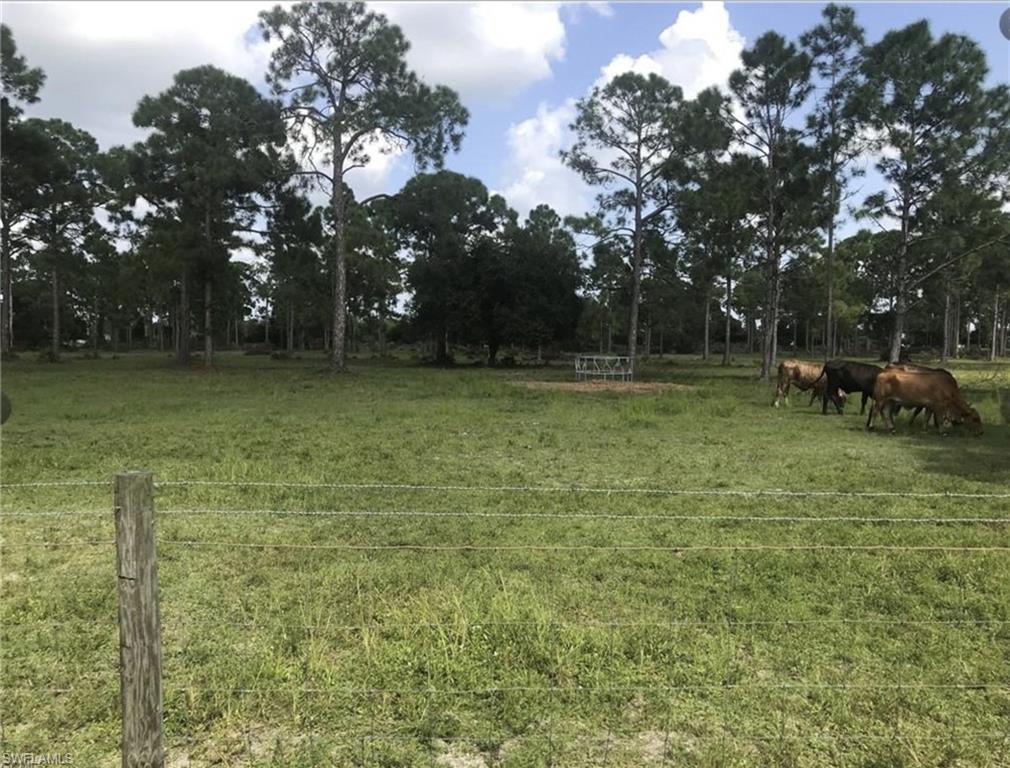 WHAT A BARGAIN!
Rare find in Cape Coral in the Unincorporated Lee County area. 8 acres, L shape, cleared and fenced. It has road frontage on three sides with vegetation buffer on the Andalusia road side for privacy and Andalusia Rd. extension in process for direct access to south Cape Coral. It is close to Del Prado Blvd, the Publix, and all the stores and restaurants on Pine Island and developing Burnt Store area. The land has been seeded with Bahia grass for the cattle on the property to enjoy. It already has a water well and electric on site. Previously split from 10 acres to 8 acres, 2 acres sold in 2022.
Enjoy living on a hobby farm while still having quick access to shops & restaurants.