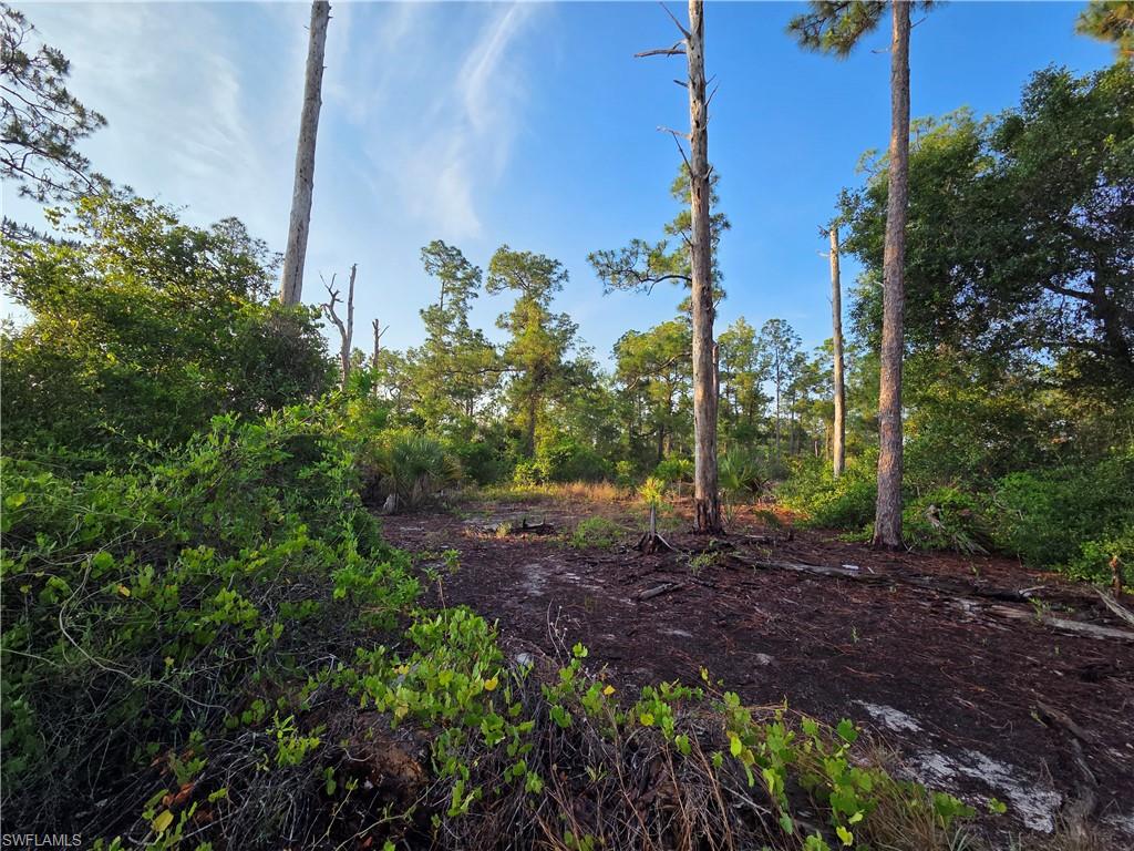 LEHIGH ACRES - Land