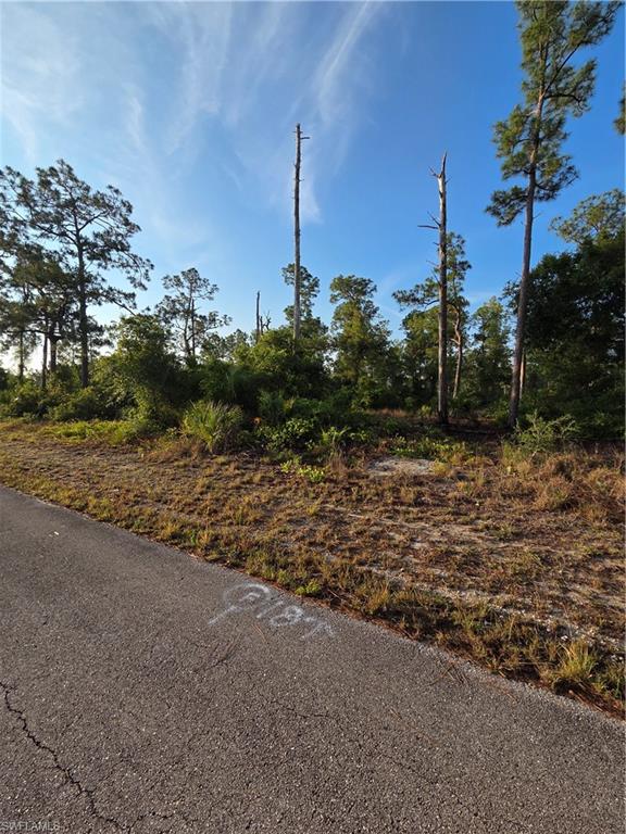 LEHIGH ACRES - Land