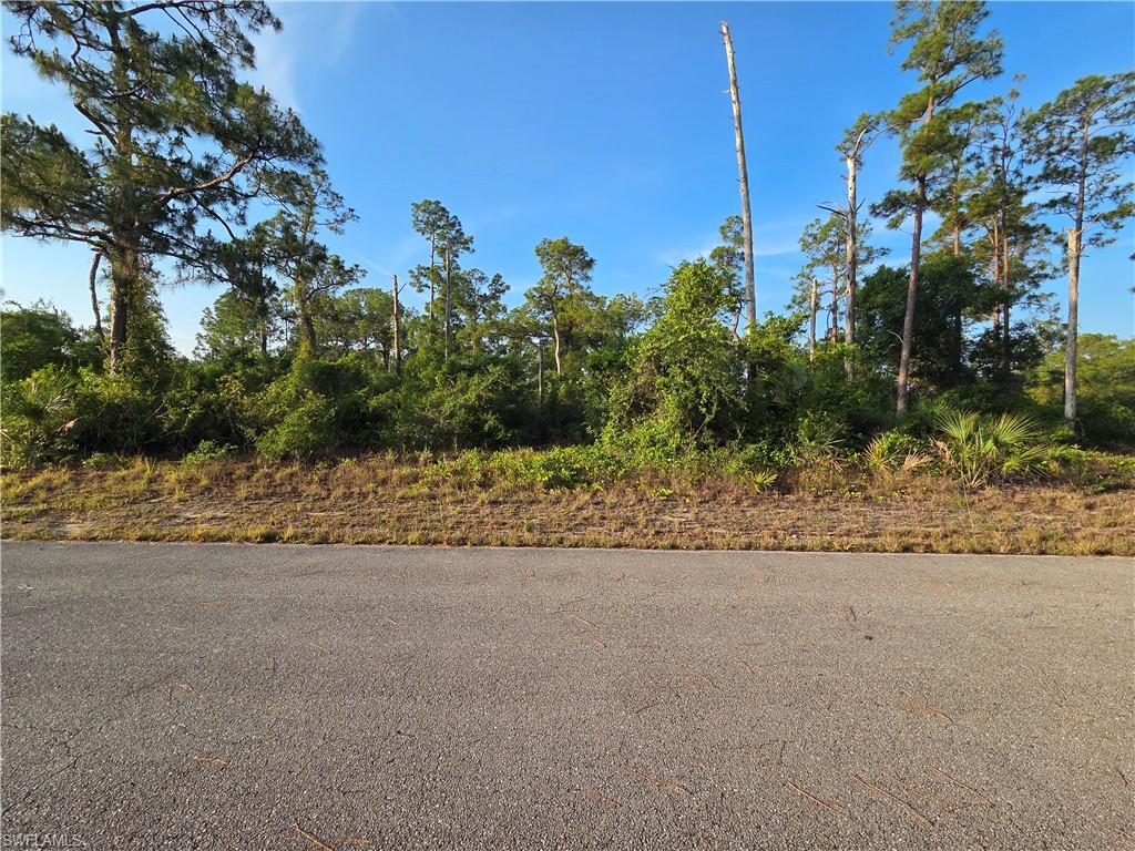 LEHIGH ACRES - Land