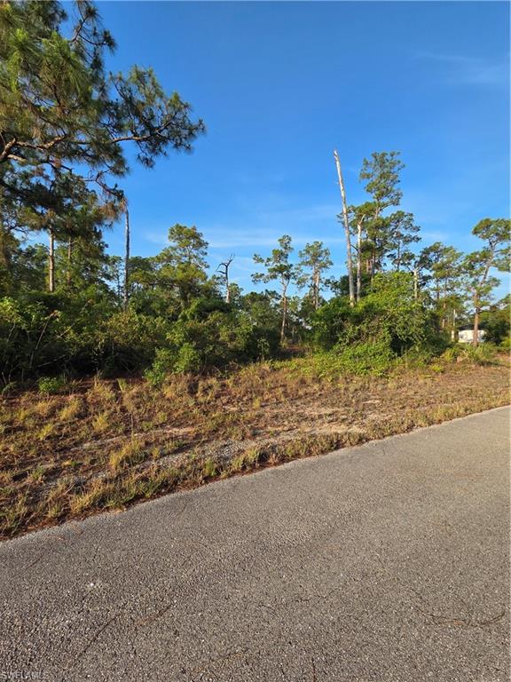 LEHIGH ACRES - Land