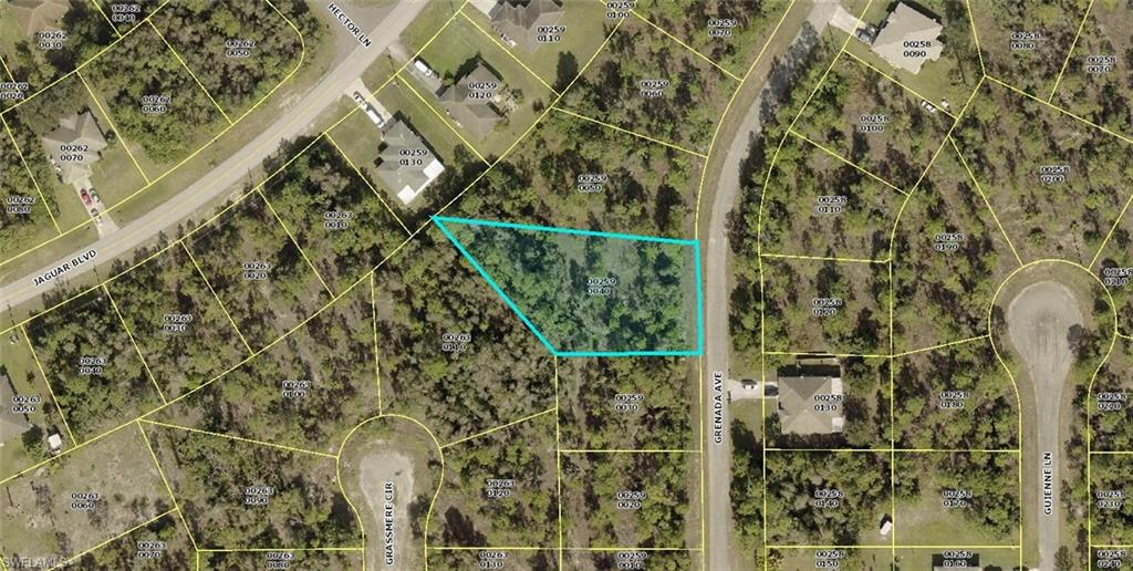 This is an over sized 1/2 acre 671.58 feet.  Just blocks from State Road 82 a 6 lane highway. Quick Access to Ft.Myers, airport and I 75.  Build your dream home here.