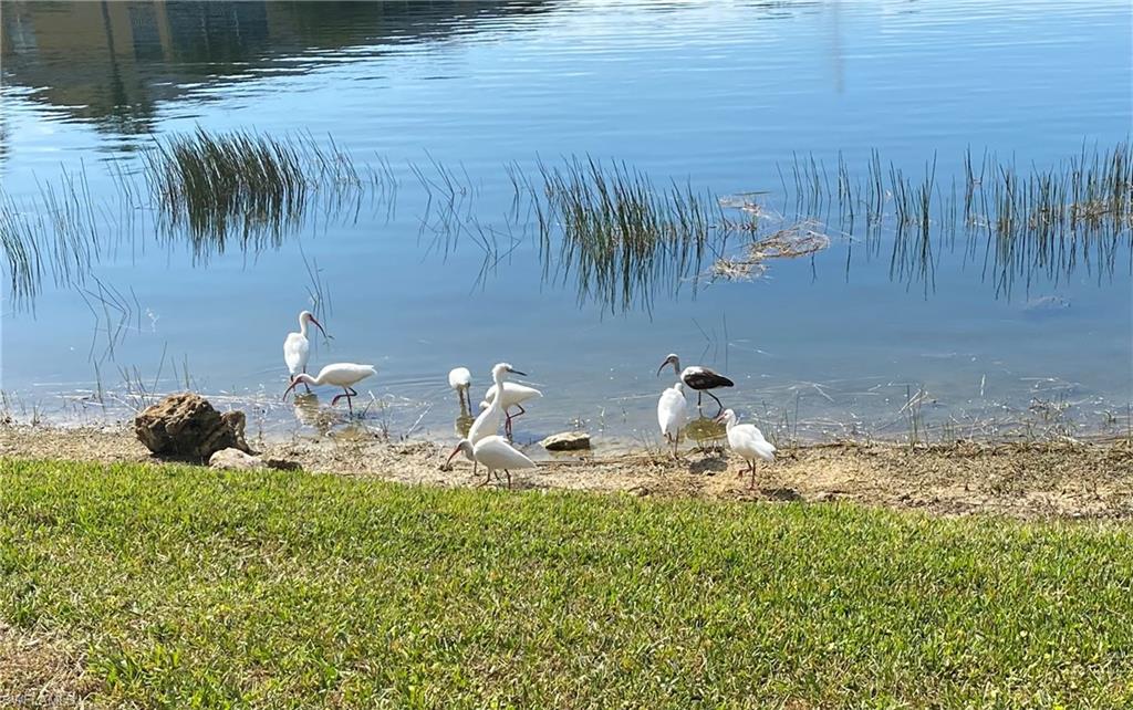 ABBEY ON THE LAKE - Residential