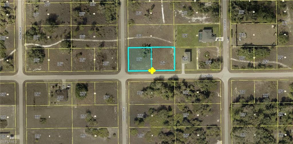 LEHIGH ACRES - Land