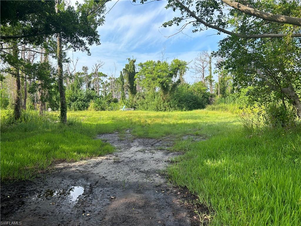 CAUGHEYS RANCHETTES UNRECORDED SUBDIVISION - Land
