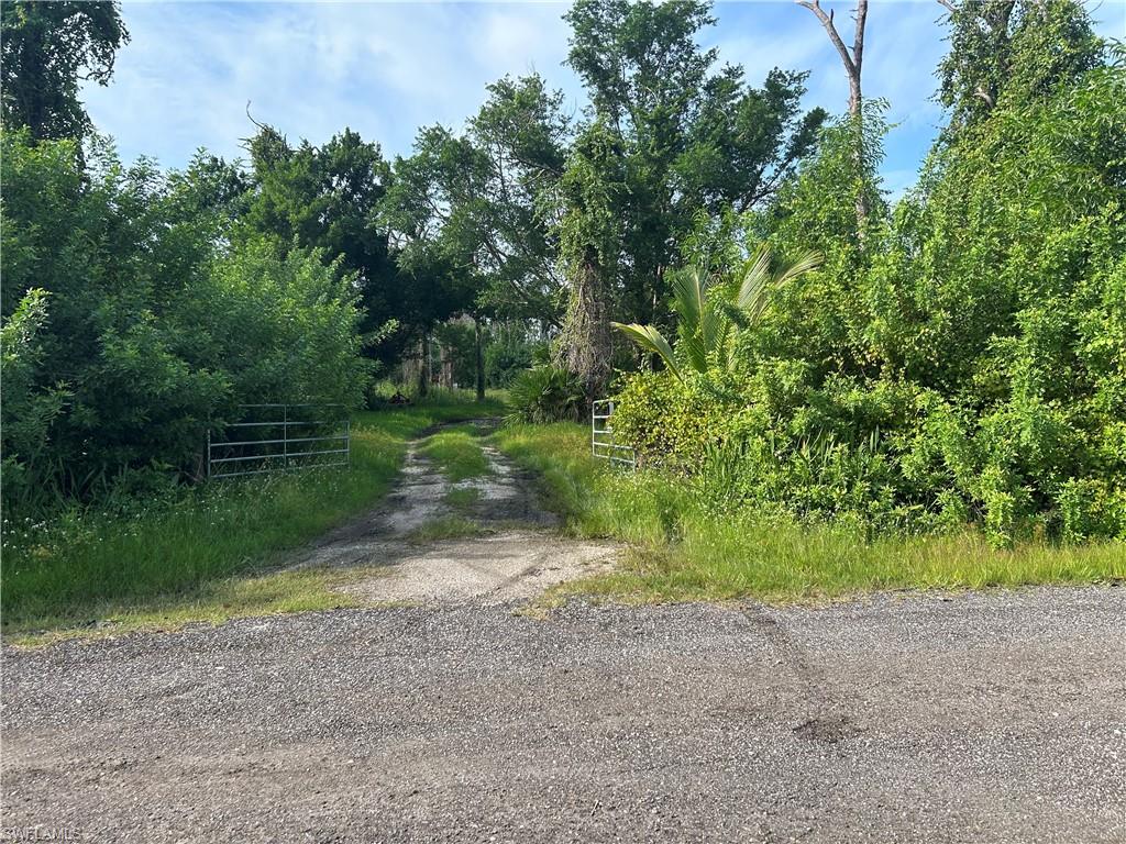 CAUGHEYS RANCHETTES UNRECORDED SUBDIVISION - Land