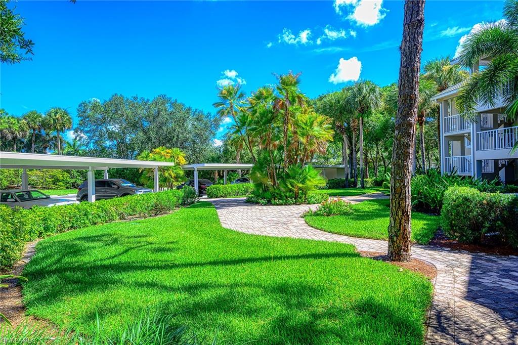 THE PINES - Residential