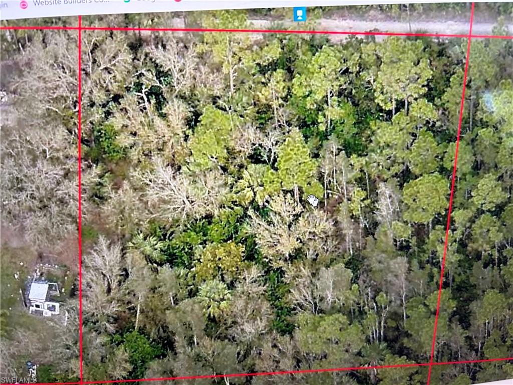 Half-acre homesite situated in a quiet, rural, and secluded setting. The property features mature oaks and pines and is heavily wooded, offering excellent natural privacy. Conveniently located with easy access to I-75 while still providing the peace and tranquility of country living. Financing available with as little as 10% down. A great opportunity to build your dream home—don’t miss this rare offering.