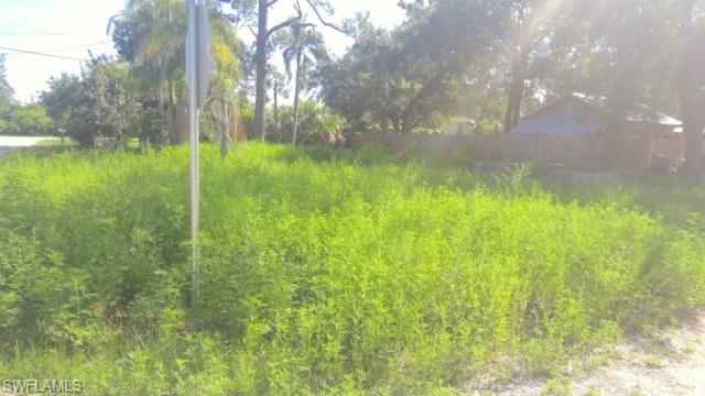 PALMONA PARK - Land