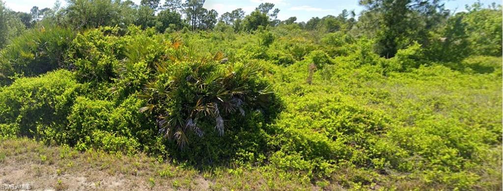 LEHIGH ACRES - Land