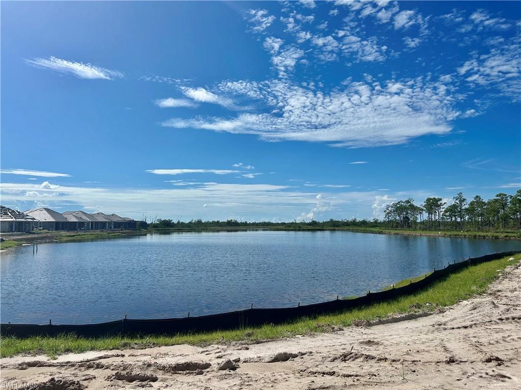 ISLES OF COLLIER PRESERVE - Residential