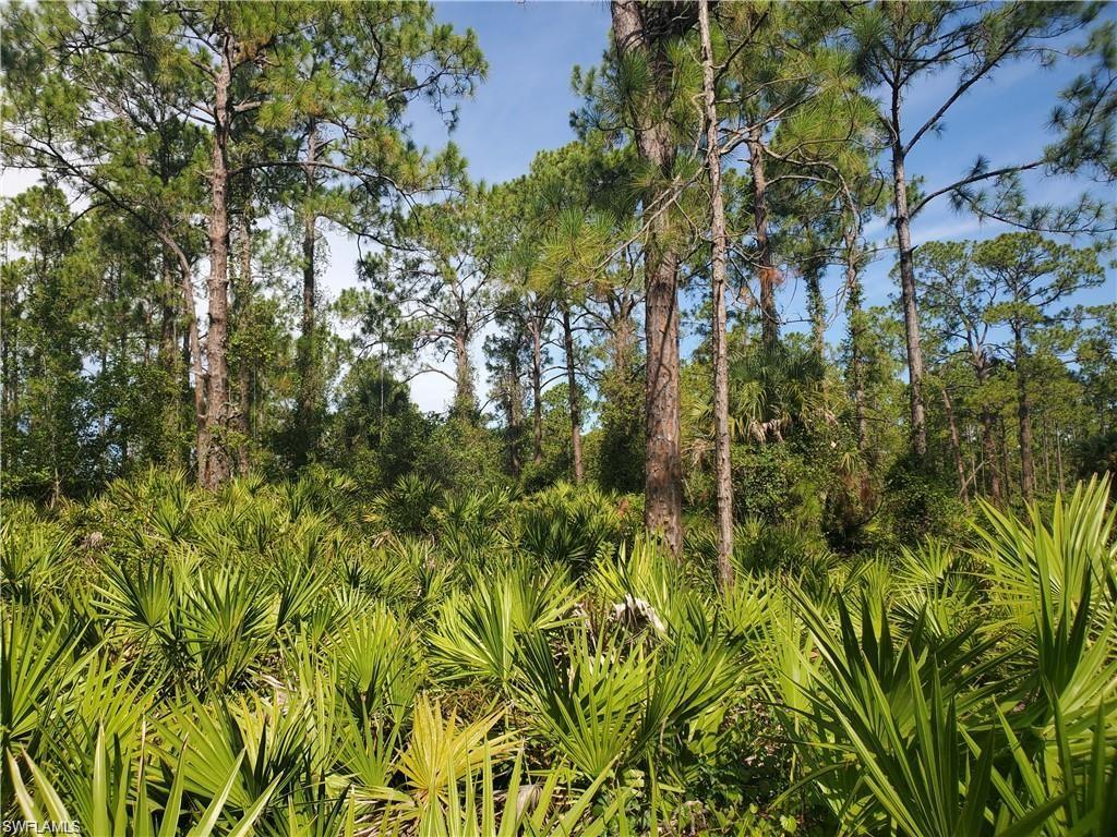 LEHIGH ACRES - Land