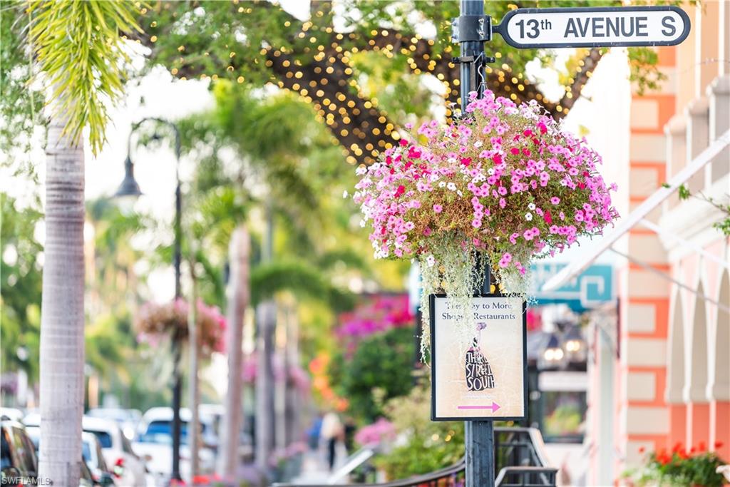 OLDE NAPLES - Residential