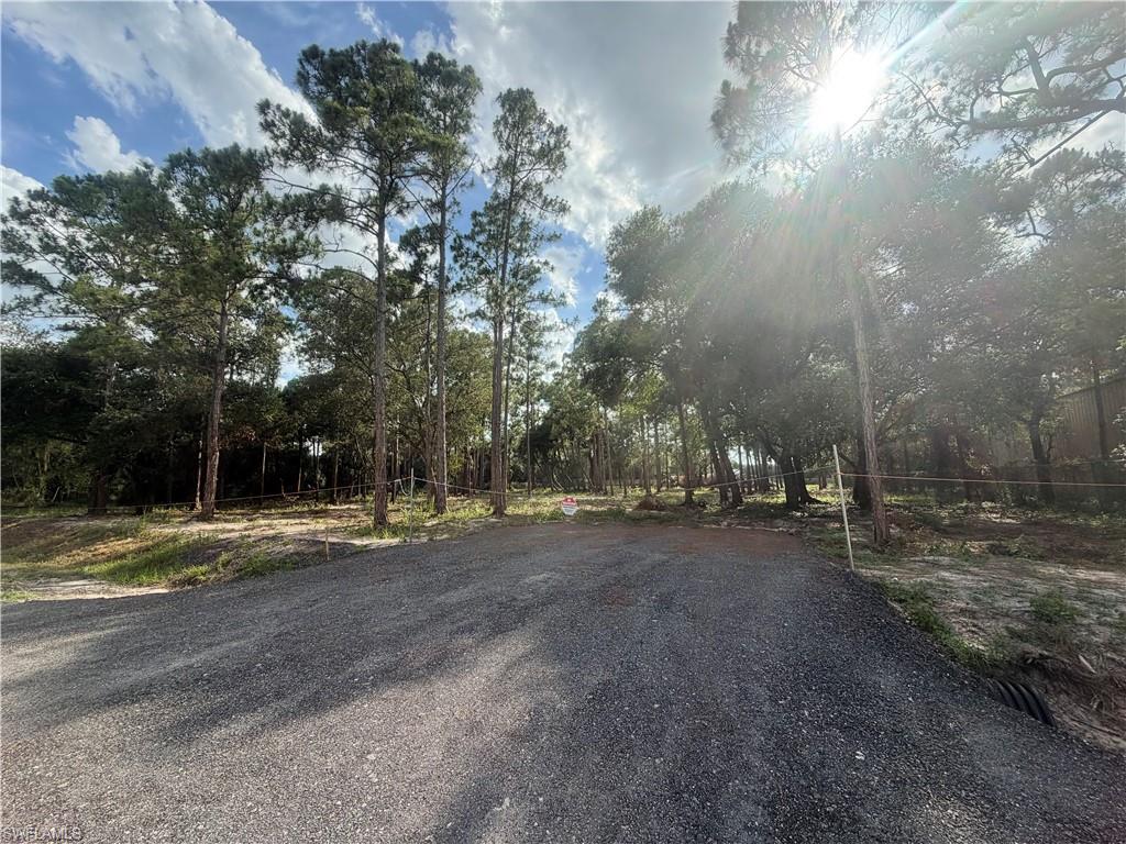 Discover the potential of this 1.25-acre lot in desirable Montura Ranches. Featuring a recently installed permitted culvert, mostly cleared, and a survey available, this property is ready for your plans. Power is nearby, making it an ideal homesite for a custom home, manufactured home, mini ranch, or future investment.

Enjoy the freedom of no HOA restrictions with plenty of room for animals, recreational vehicles, workshops, and more. Located in one of Southwest Florida's most sought-after acreage communities, this property offers the perfect blend of rural living, privacy, and long-term investment potential.

Build now or buy and hold. Florida acreage in Montura Ranches continues to be in high demand.