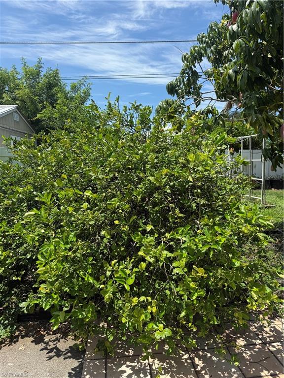NAPLES PARK - Residential