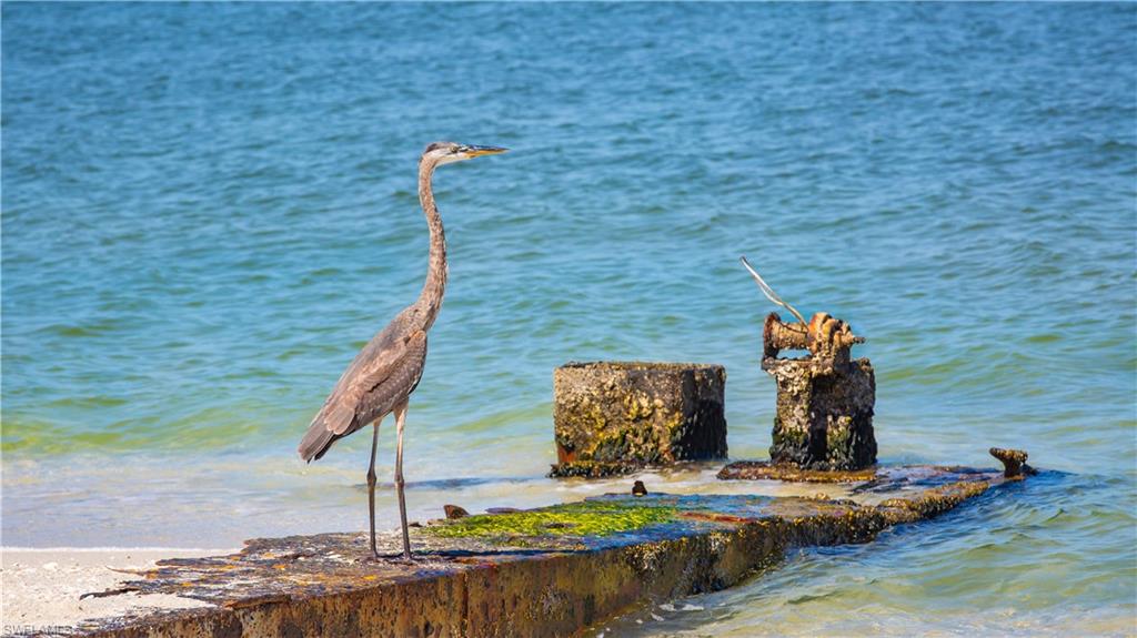 PUNTA ROBALO UNRECORDED SUBDIVISION - Land