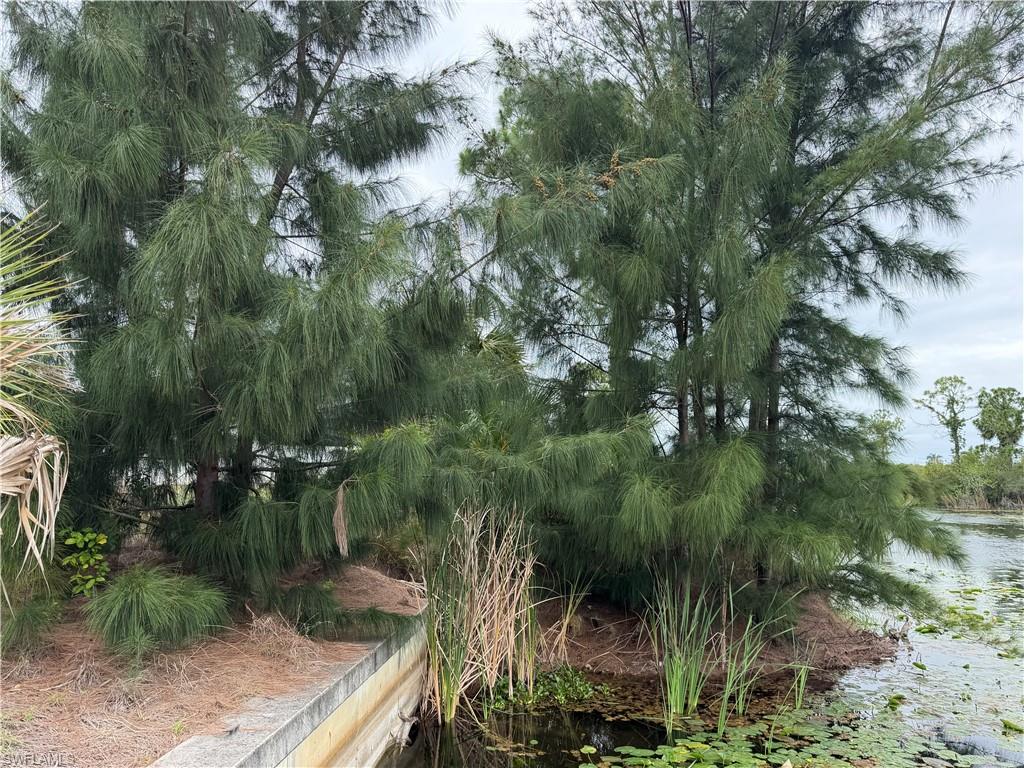 CAPE CORAL - Land
