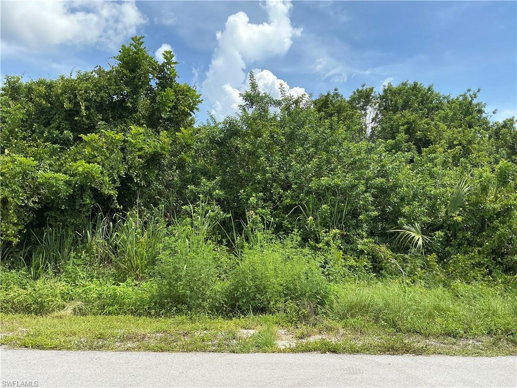LEHIGH ACRES - Land