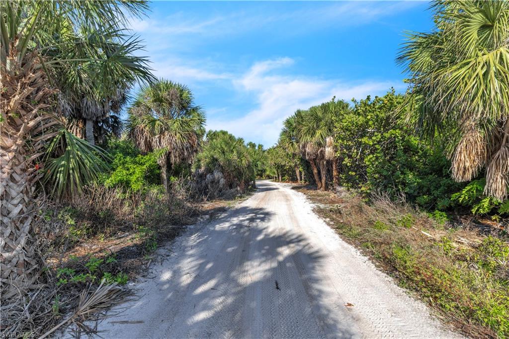 CASTAWAY KEY - Land