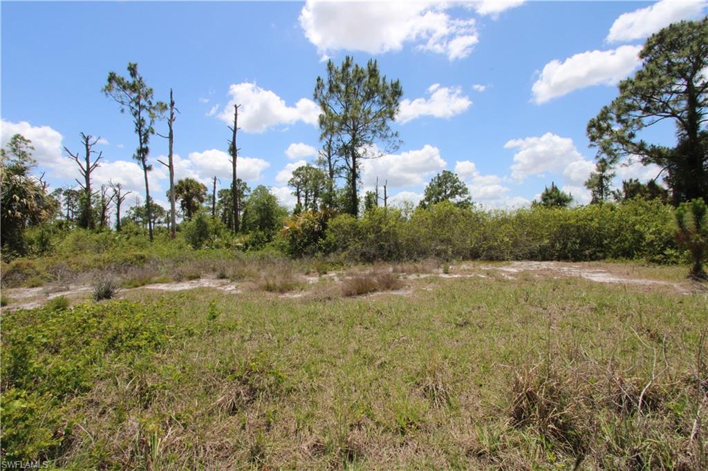 LEHIGH ACRES - Land
