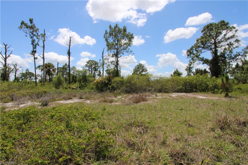 LEHIGH ACRES - Land