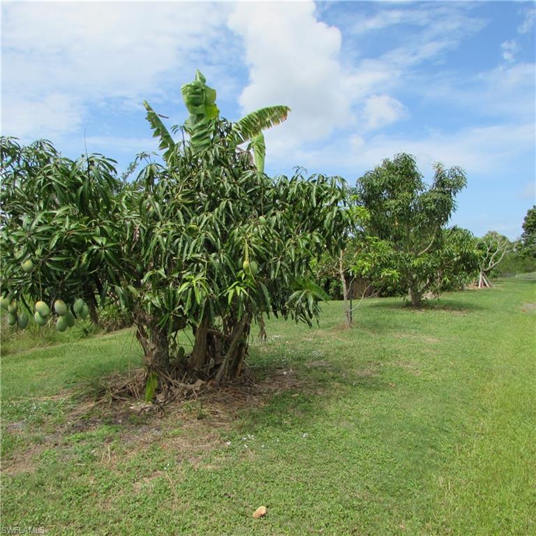 KREAMERS AVOCADO SUBD - Residential