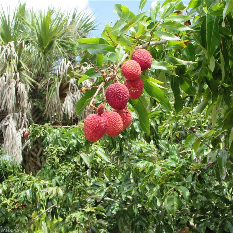 KREAMERS AVOCADO SUBD - Residential