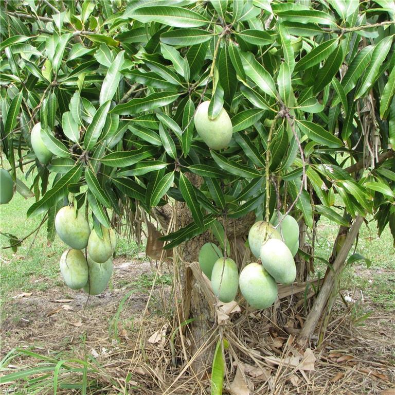 KREAMERS AVOCADO SUBD - Residential