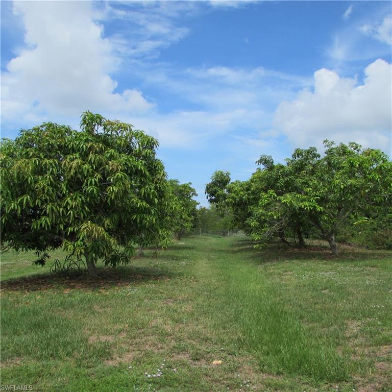 KREAMERS AVOCADO SUBD - Residential