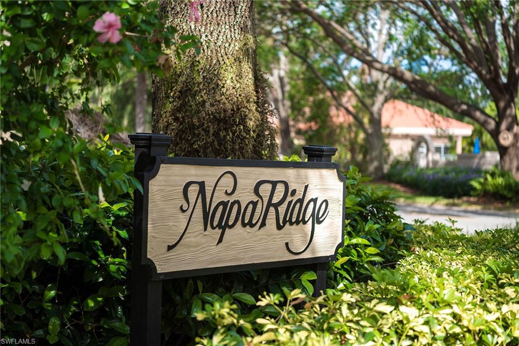NAPA RIDGE - Residential