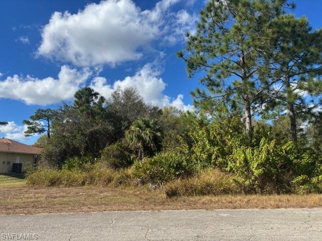 Half-acre residential lot in a quiet Lehigh Acres neighborhood, close to shopping and amenities.