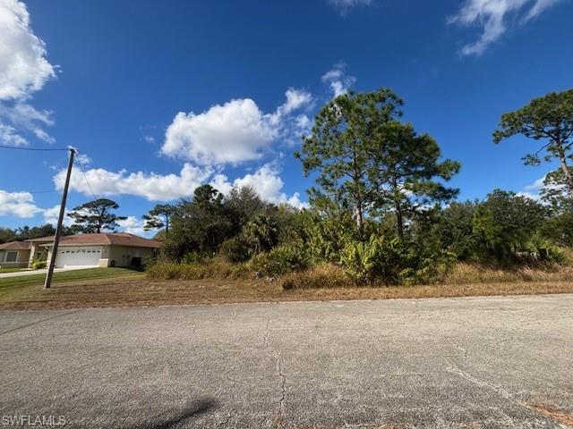 LEHIGH ACRES - Land