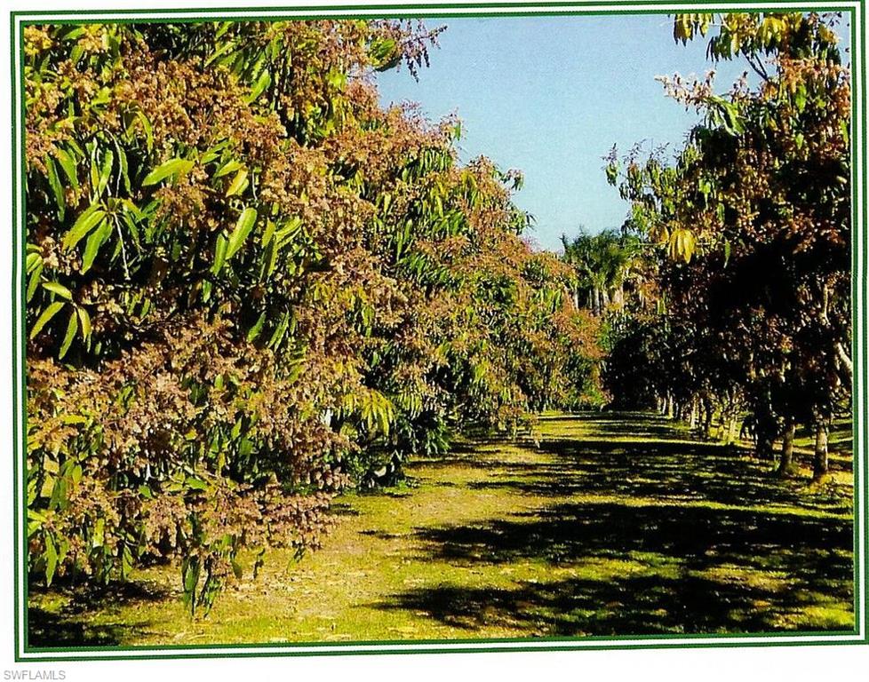 PINE ISLAND - Residential Lease