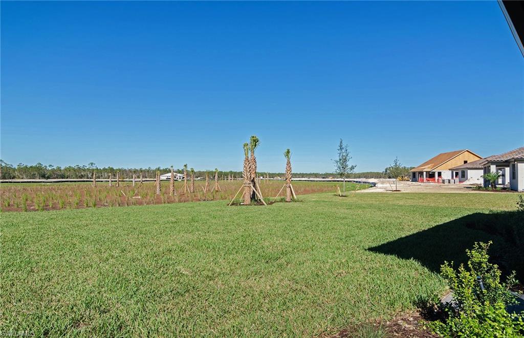 THE PLACE AT CORKSCREW - Residential