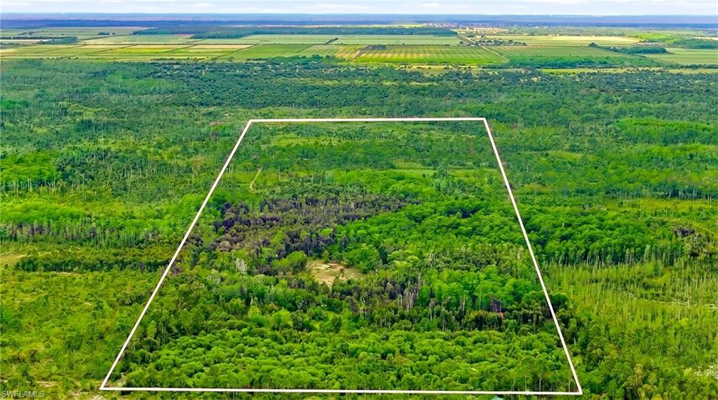 One or more photo(s) has been virtually staged, AI generated or rendered.  This 20.34-acre holding in eastern Collier County combines agricultural capacity with the kind of position that holds its value over time, with its open, level ground that simplifies the work of clearing a building envelope, while supporting cultivation, grazing, or grove planting. For an owner planning to live apart from the grid, the parcel's size and position support a residential compound built to run on its own water, power, and septic, with room for solar arrays, a well field, food production, and storage, all held on a single contiguous holding with enough separation to place a primary residence, guest quarters, and working structures without anyone crowding the next. The terrain could potentially suit a private equestrian facility, with flat ground that could carry a stable block, paddocks, and a full arena, with acreage left for pasture rotation, grooms' quarters, and a residence set well back from the working areas. Its scale and seclusion also lend the parcel to a private sports or hunting camp, with room for cabins, a lodge, and an open field across acreage.  The protected forest edge gives a calm that most properties never reach, and the absence of adjacent development keeps the land genuinely rural. Although the setting reads as remote, Collier Boulevard sits just minutes from the property line, keeping Naples and all that the town has to offer, including its sugar sand beaches, fine dining, and world-class shopping, within close proximity. This parcel's extremely rare combination of scale, terrain, and protected frontage gives the land a long-term advantage that smaller, more hemmed-in holdings cannot offer.