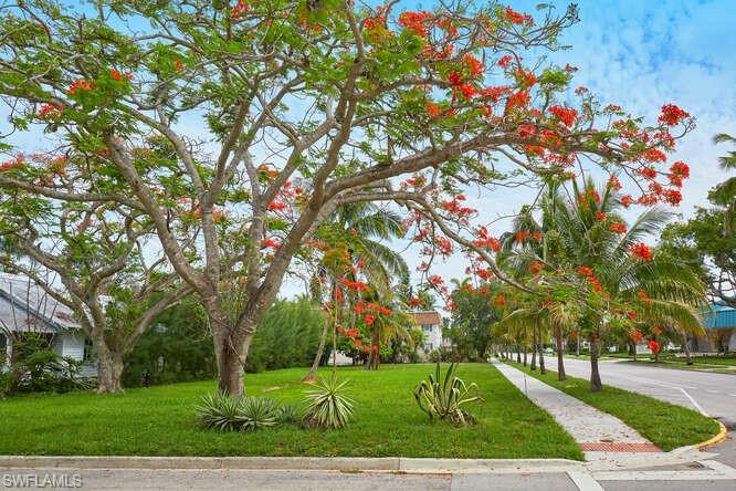 OLDE NAPLES - Land