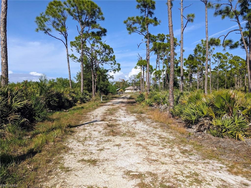 Live the island dream in St. James City! 
This rare 2.5-acre gated retreat offers the perfect blend of privacy, freedom, and true Old Florida charm—just minutes from Boat Ramps (nearest only 1.8 miles), Waterfront Restaurants and the Fire Station with helipad. Hop on your bike or golf cart to grab fresh seafood & groceries or cruise to the beaches on your boat (nearby ramp) for excellent fishing and beach time—this is island living at its finest.
Enter through a paved gravel drive to a cleared, build-ready homesite, surrounded by towering pines, lush palmettos, and exotic tropical landscaping. Sunshine Blvd is a paved road. The property is approved for a single-family residence or agricultural use, opening the door to valuable tax exemptions and a homesteader’s dream lifestyle.
Enjoy irrigated mango and lychee trees, multiple water spigots throughout, conduit pipes already in place for electric, and an electric pole conveniently located at the front gate. Fenced on right side and gated at the entry, this expansive property offers endless room for pets to roam, gardens to flourish, and dreams to grow.
With quick access to Pine Island Sound and on to the Gulf, this is a boater’s paradise and a rare opportunity to create a self-sustaining island homestead in one of Southwest Florida’s most beloved communities. Peaceful, private, and ready for your vision—this is true island freedom!