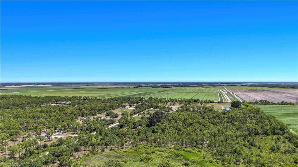 PIONEER PLANTATION - Land